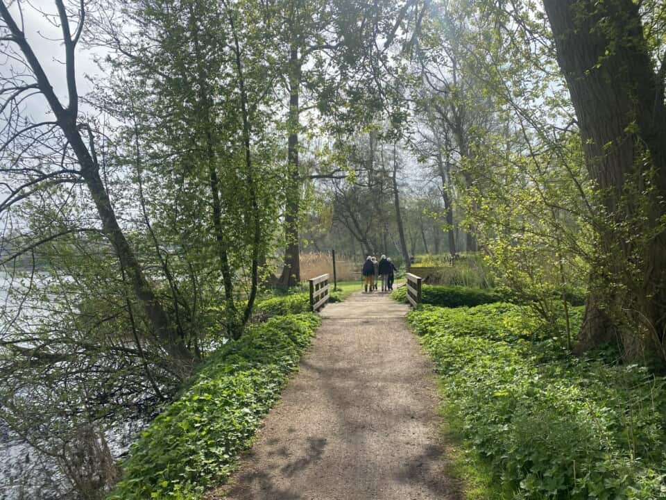 foto af vandregruppe på tur i naturen